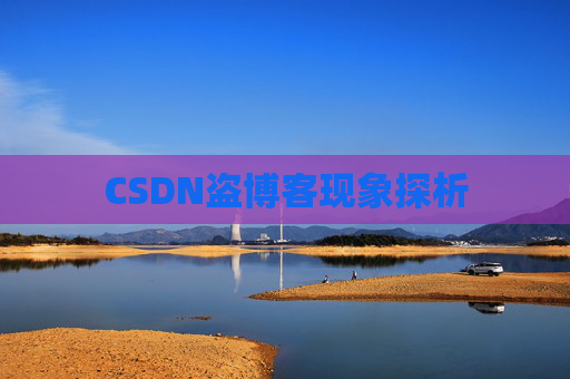 CSDN盗博客现象探析